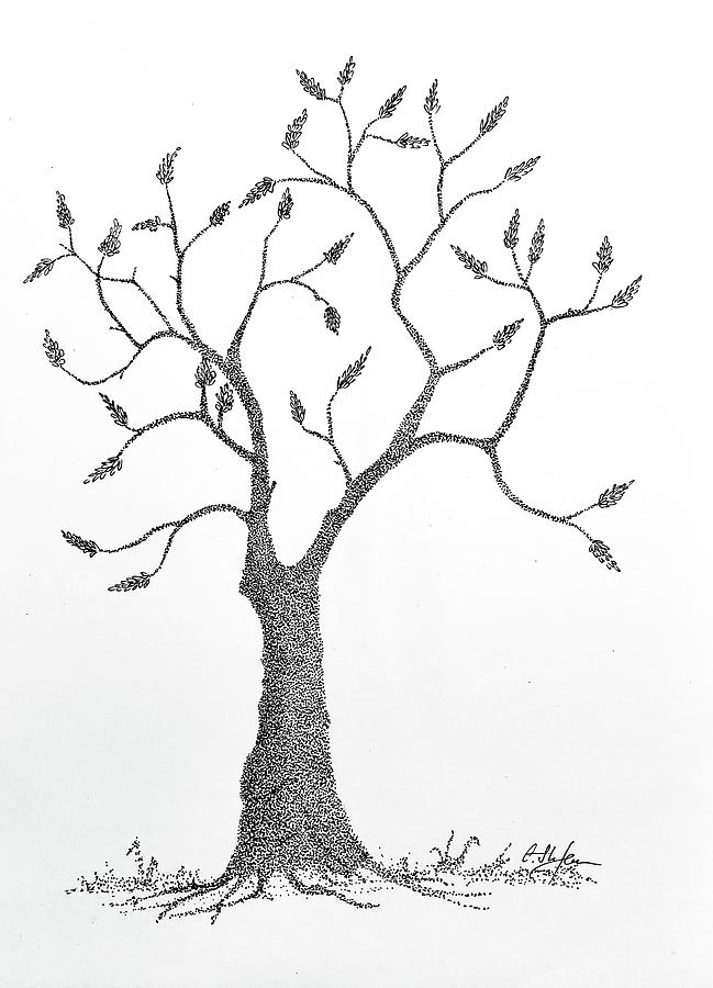 Solitary tree - drawing Drawing by Cristina Stefan
