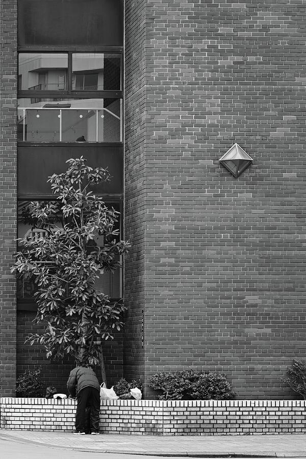 Solitude and Shadows - Asakusa Street Scene Photograph by Matthias Hauser Solitude and Shadows - Asakusa Street Scene Photograph by Matthias Hauser