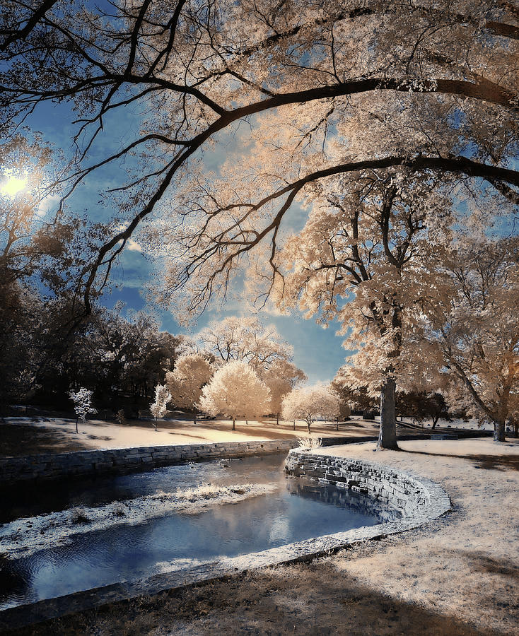 Solitude at Allen Creek - Infrared image at Lake Leota park in Evansville WI Photograph by Peter Herman