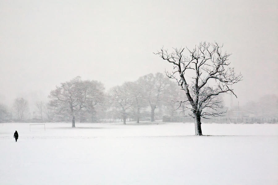 Solitude in the snow Photograph by Jorge Duarte Estevao
