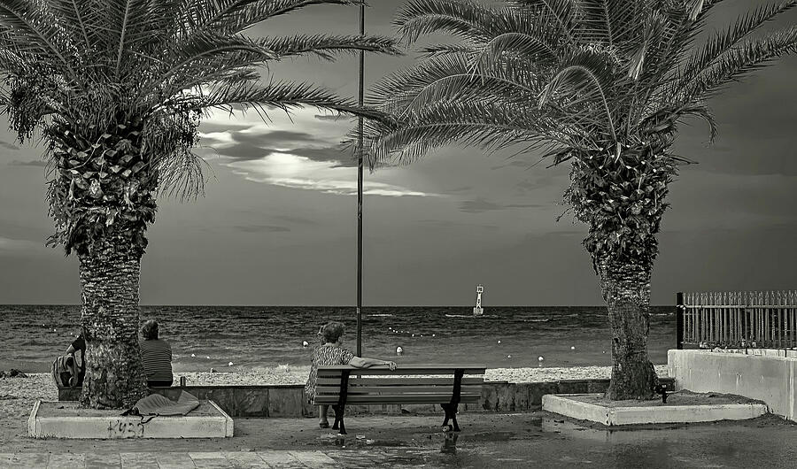 Solitude Photograph by Marinko Shlakeski Solitude Photograph by Marinko Shlakeski