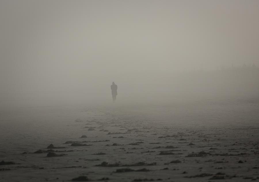 Composed Photograph - Solitude by Matthew Adelman