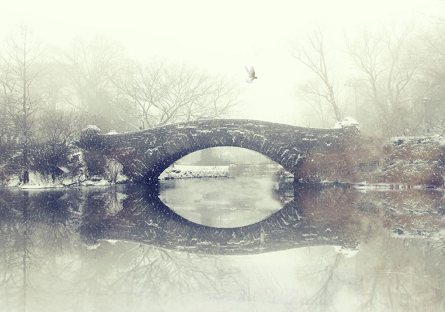 Solitude of Winter Photograph by Jessica Jenney
