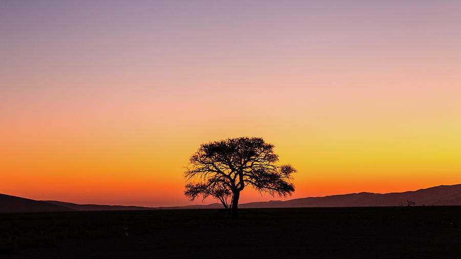 Solitude Photograph by Oleg Ace - Fine Art America