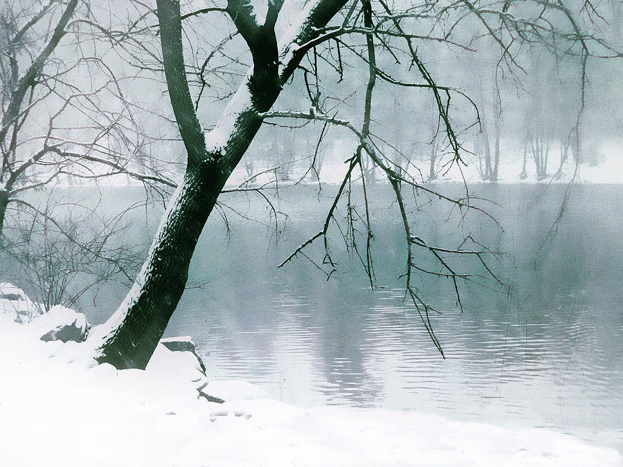 Solitude Pond Photograph by Jessica Jenney Fine Art America Solitude Pond Photograph by Jessica Jenney Fine Art America