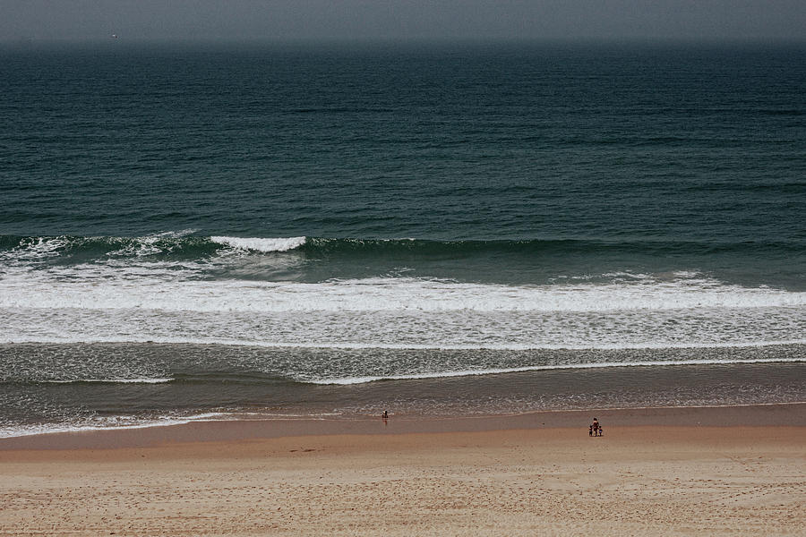 Solo at the beach Photograph by Aimee Giles - Fine Art America