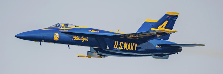 Solo Blue Angel 2 Photograph by Frosted Birch Photography