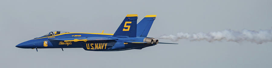 Solo Blue Angel Photograph by Frosted Birch Photography