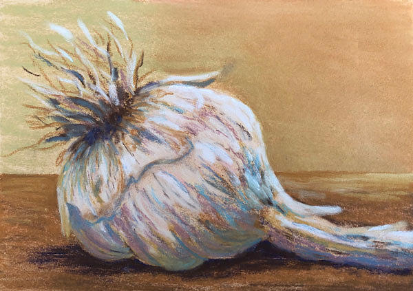 Solo Garlic Painting by Nancy Goldman