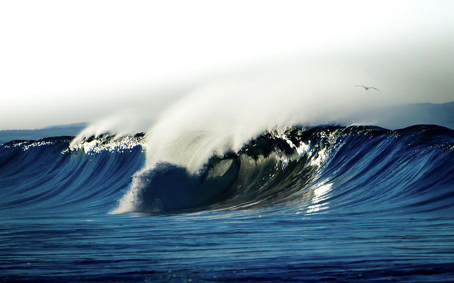 Solo Wave Photograph by Mark Bloom