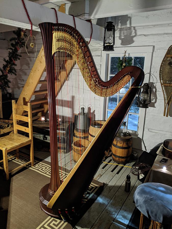 Solstice harp Photograph by Lisa Mutch
