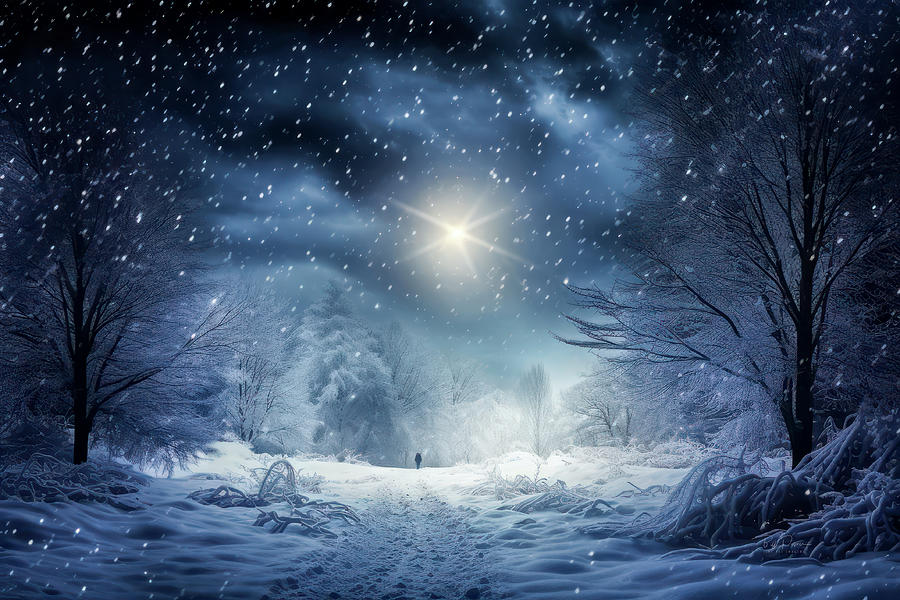 Solstice Starlight Digital Art by Bill Posner