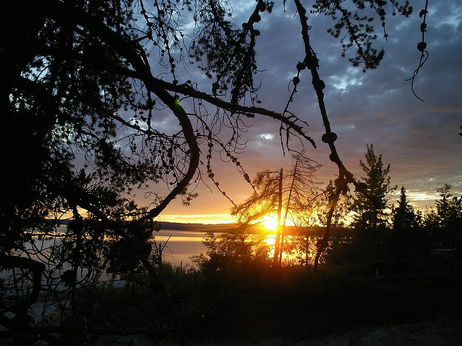 Solstice sunset Photograph by Lisa Mutch