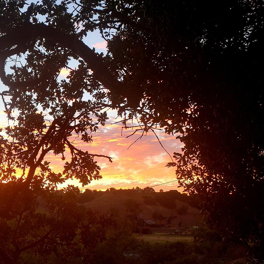 Solvang Sundown Photograph by Andrew Graybeal Fine Art America