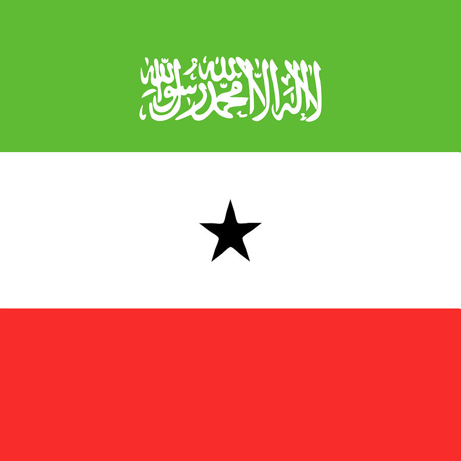 Somaliland flag emblem Mixed Media by Alexander Nedviga