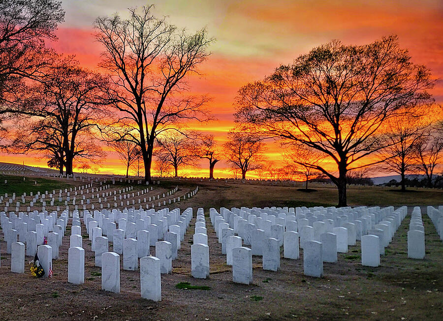 Somber Brilliance Photograph by Bobby Ryan Somber Brilliance Photograph by Bobby Ryan