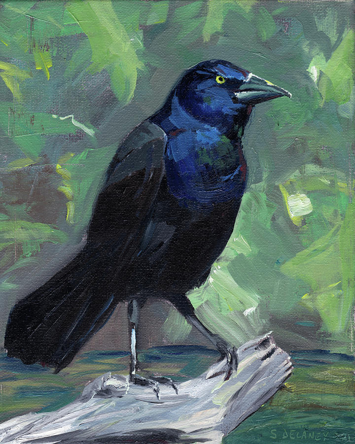 Bird Painting - Somber Mood of the Common Grackle by Sara Delaney