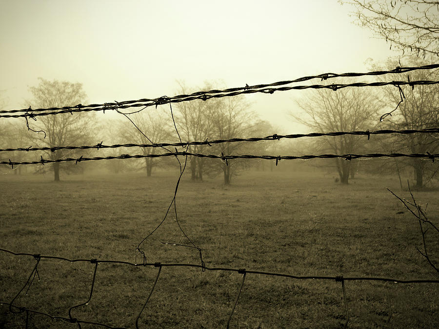 Somber Pasture Photograph by Lens Art Photography By Larry Trager