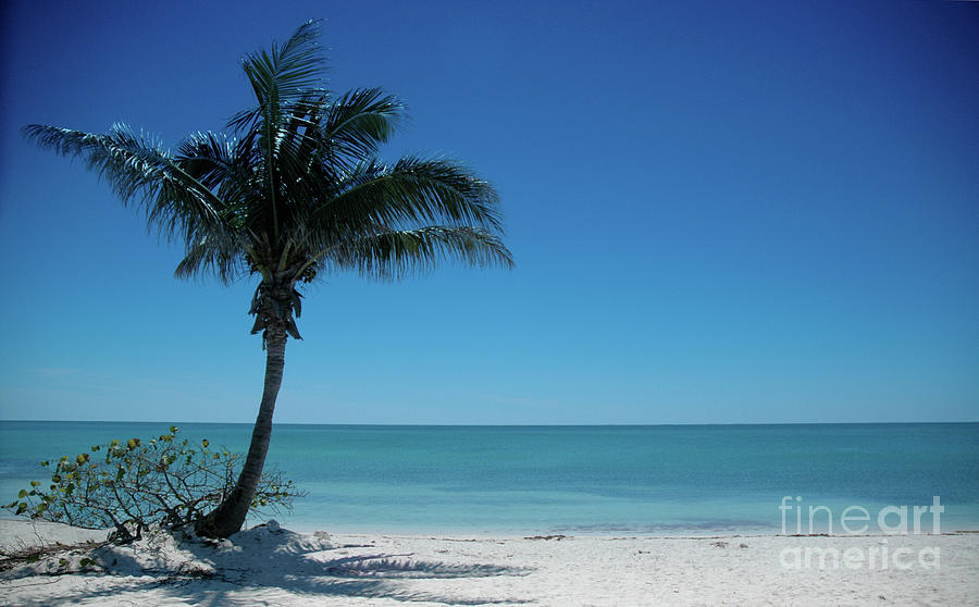 Florida Keys Photograph - Sombrero Beach by Brenda Harle