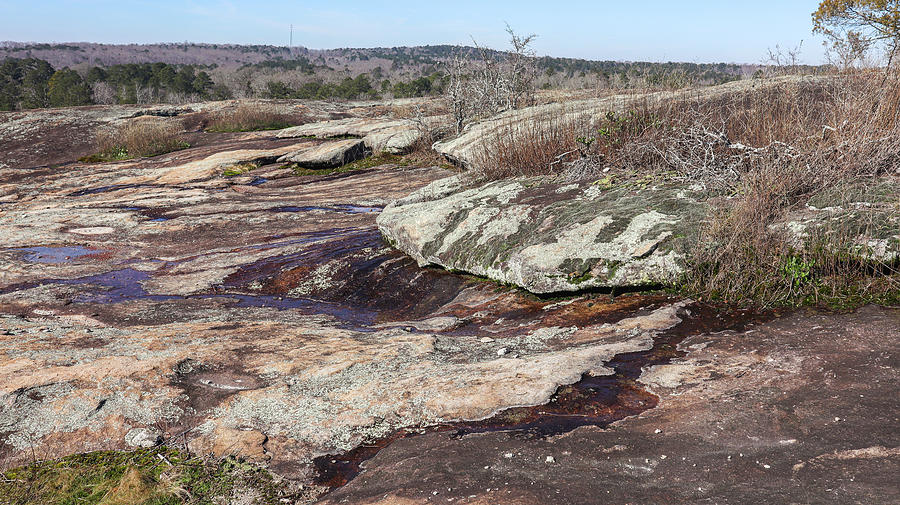 Some Arabia Mountain Topography Photograph by Ed Williams