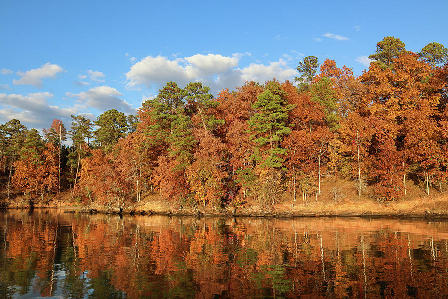Some Autumn Lake Tints Photograph by Ed Williams