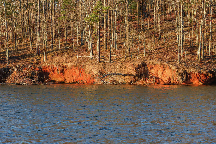 Some Georgia Red Clay Shoreline Photograph by Ed Williams