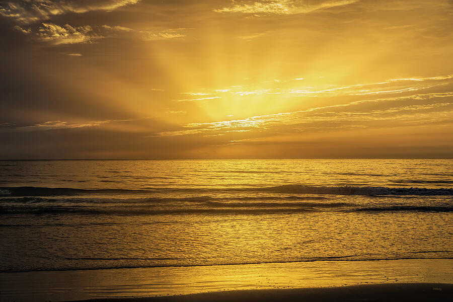 Some Golden Daybreak Photograph by John M Bailey