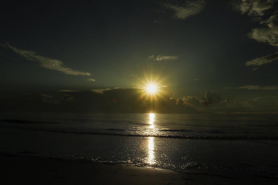 Some Jekyll Island Sun Starring Photograph by Ed Williams
