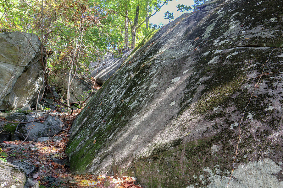 Some Mount Yonah Rockiness Photograph by Ed Williams
