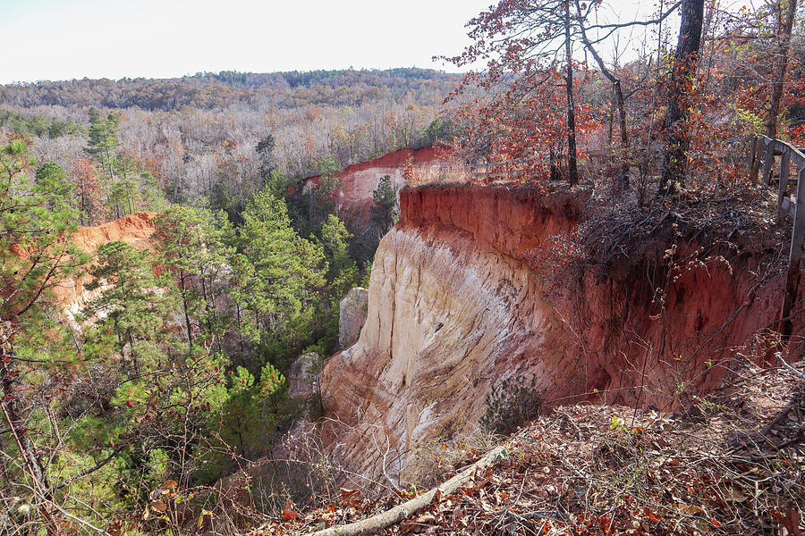 Some Providence Canyon Clays Photograph