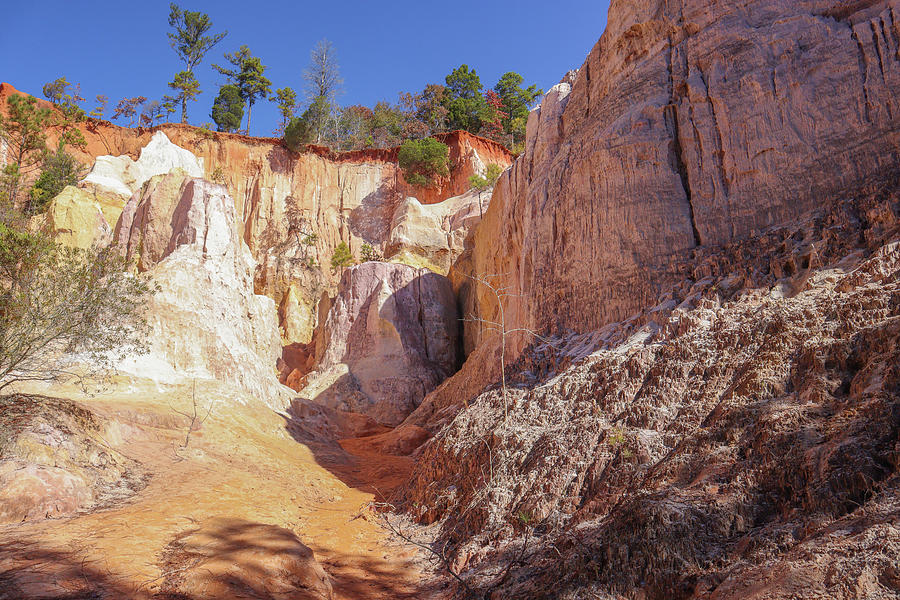 Some Providence Canyon Rims Photograph by Ed Williams