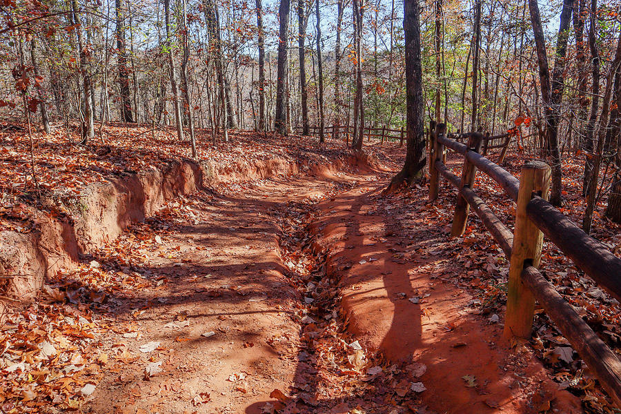 Some Providence Canyon Trail Erosion Photograph by Ed Williams