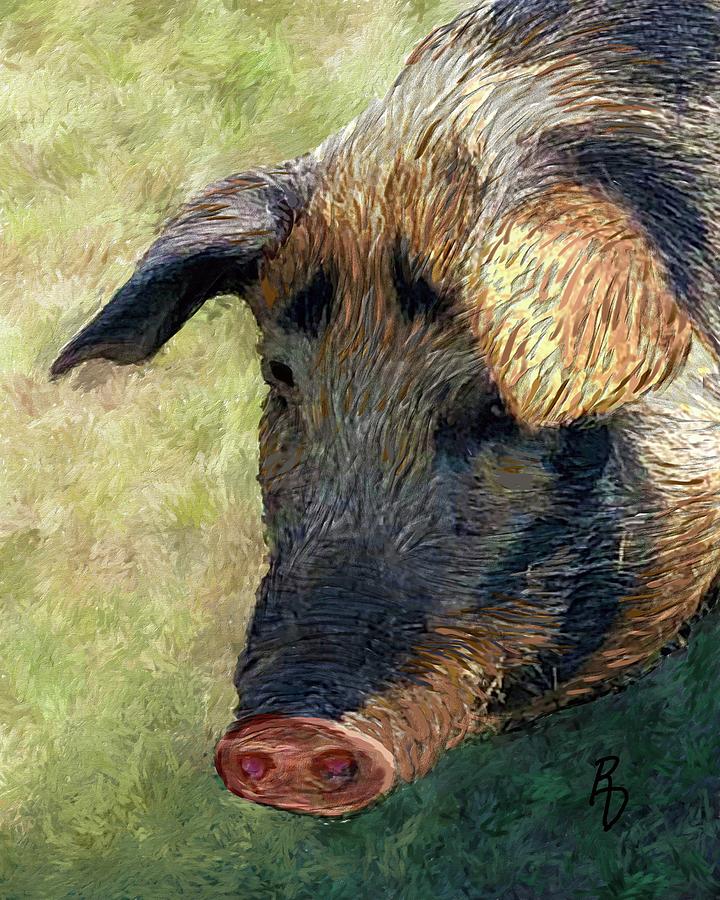 Some Sow Digital Art by Ric Darrell