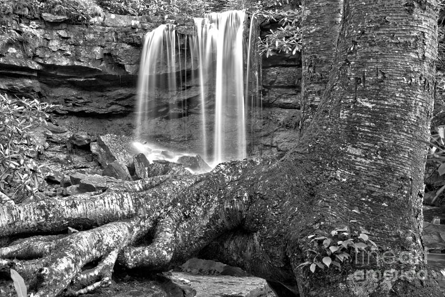 Somerset Waterfall Landscape Black And White Photograph by Adam Jewell