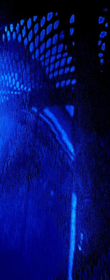 Something  Blue  Photograph by VIVA Anderson