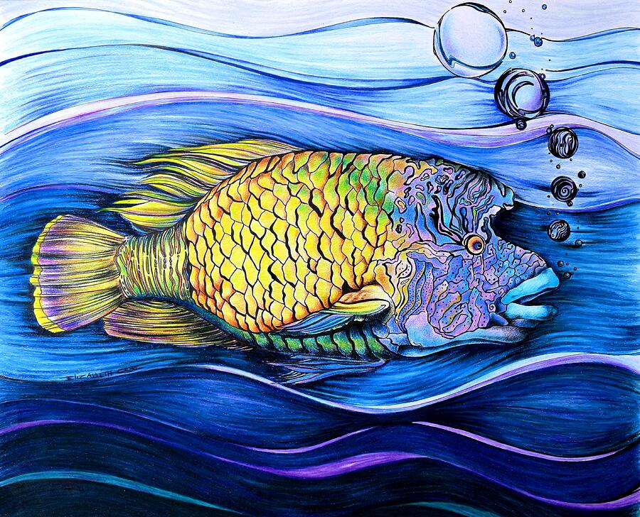 Fish Mixed Media - Something Fishy by Elizabeth Cox