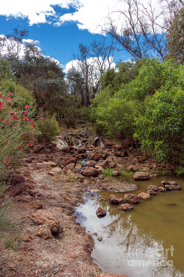 Somme Creek, Bridgetown, Western Australia #2 Photograph by Elaine Teague