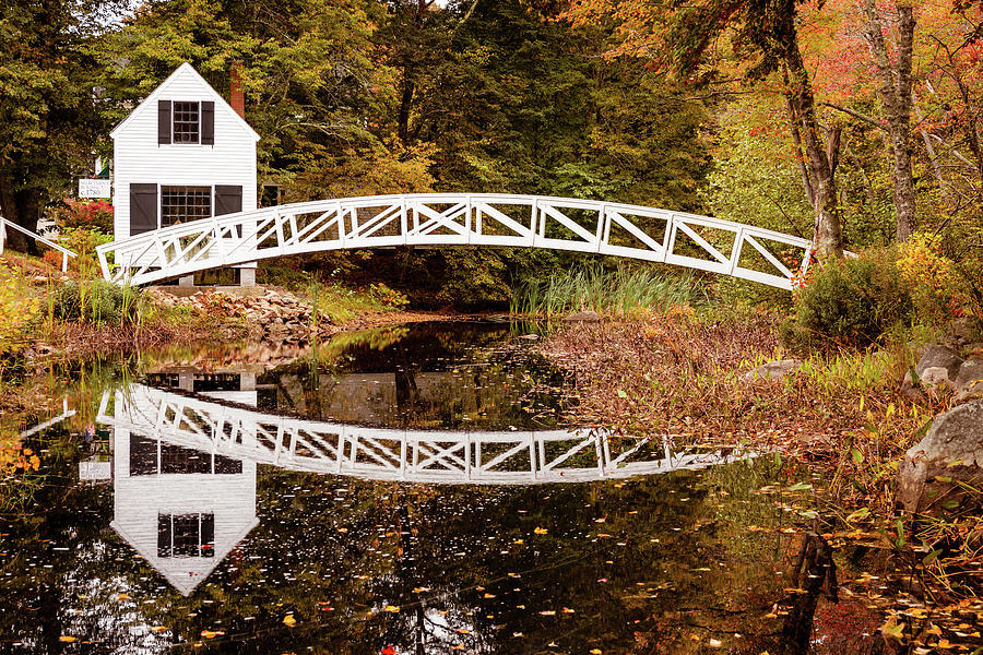 Bridge Reflection Photograph by Craig A Walker