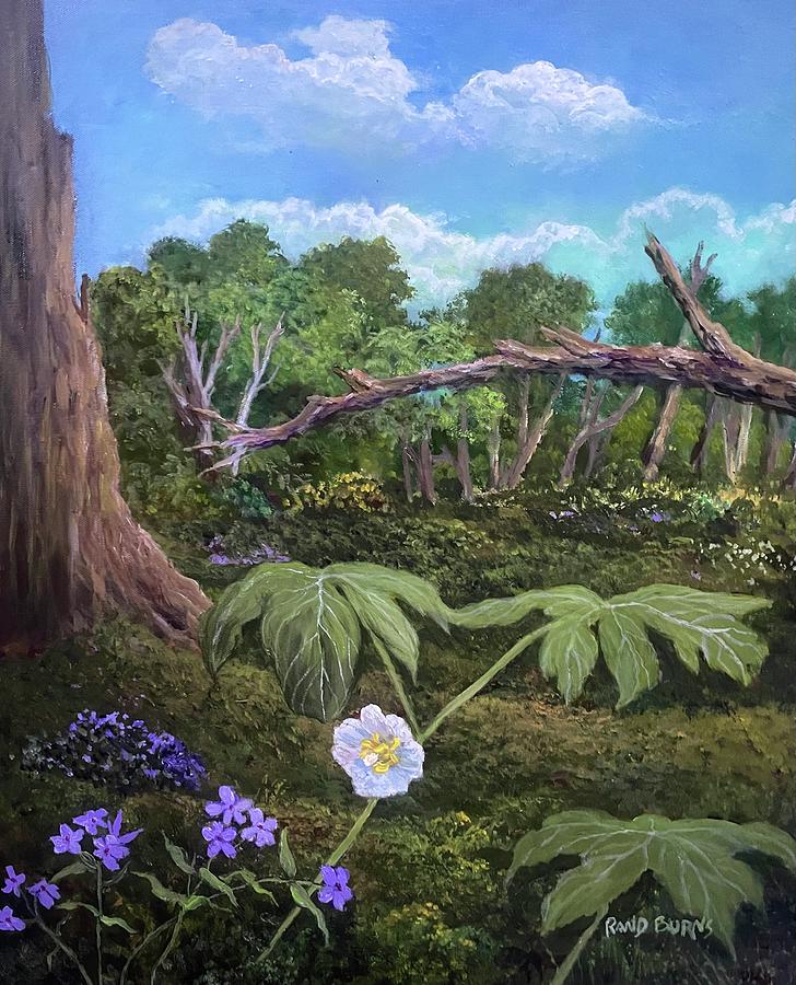 Song Of The Mayapple Painting by Rand Burns