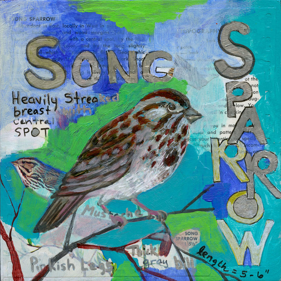 Song Sparrow Painting