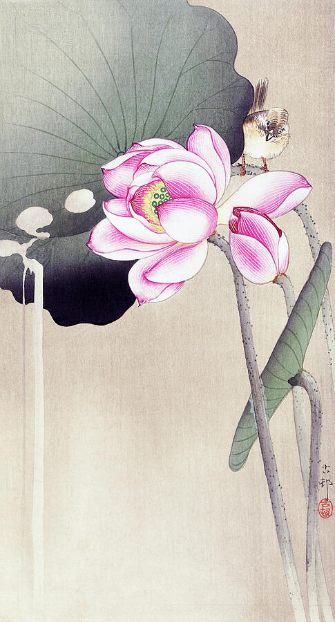 Songbird and Lotus by Ohara Koson Painting by Mango Art Songbird and Lotus by Ohara Koson Painting by Mango Art