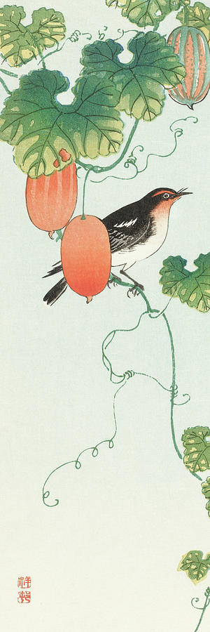 Ohara Koson Painting - Songbird in cucumber plant by Ohara Koson