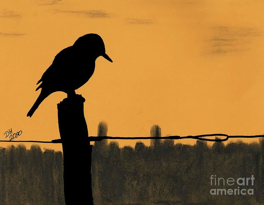 Songbird Silhouette Drawing by D Hackett