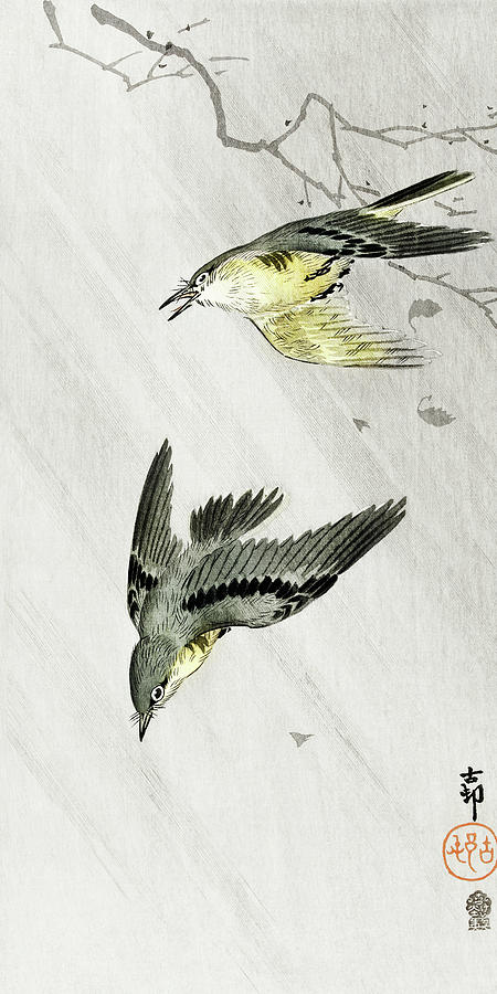 Ohara Koson Painting - Songbirds in rain by Ohara Koson