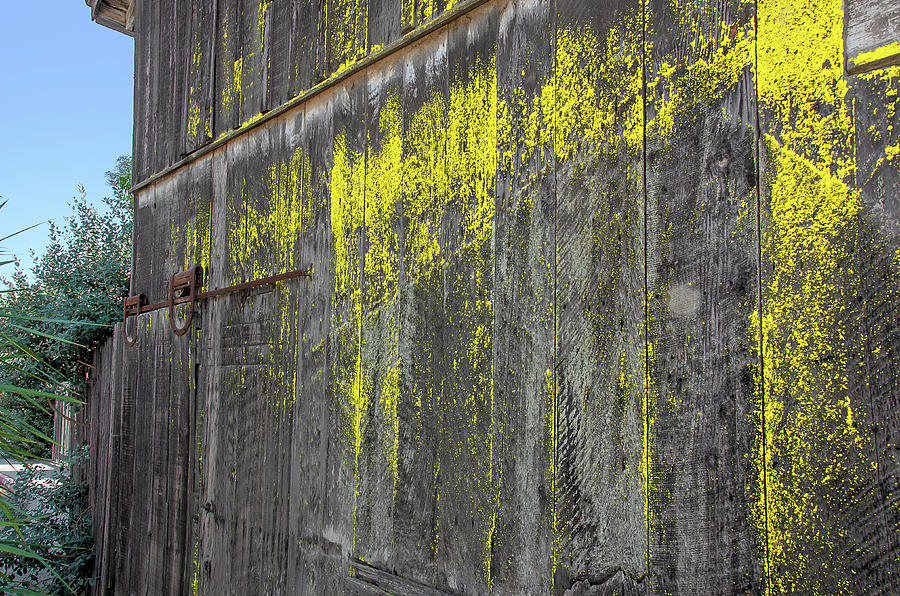 Sonoma Barn With Yellow Lichen Photograph by David Lawson
