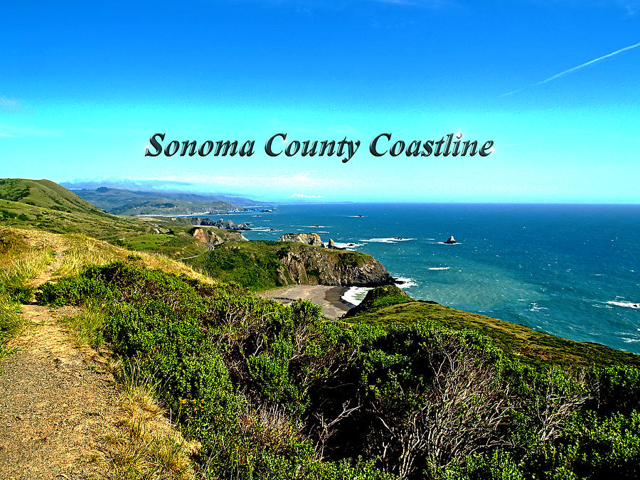 Sonoma County Coastline Photograph by Richard Thomas