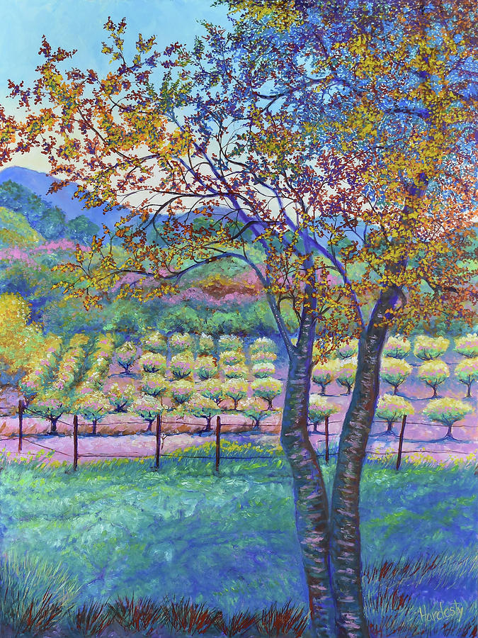 Sonoma Wine Country 1 Painting by David Hardesty