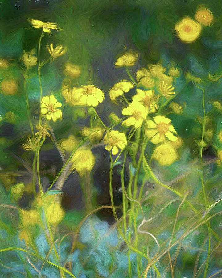 Sonoran Brittle Bush Digital Art by Steve Kelley