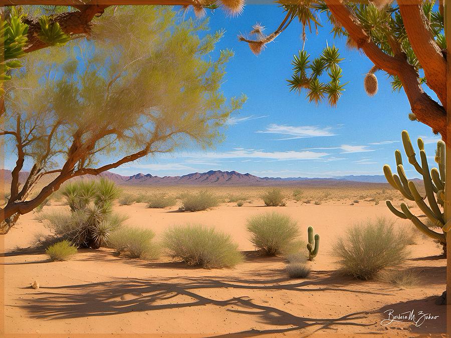 Sonoran Desert Photograph by Barbara Zahno