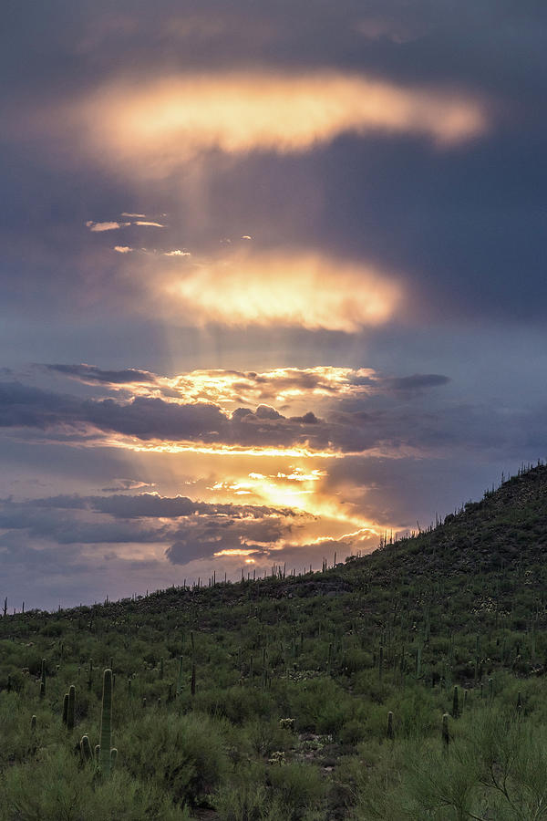 Sonoran Desert Layer Cake Sunset Photograph by David M Porter - Fine ...